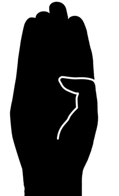 元旦起嚴(yán)管交通違法