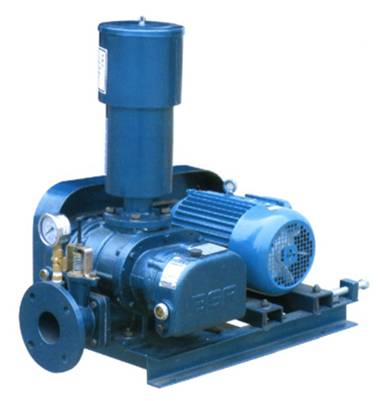 教您如何保障羅茨風(fēng)機(jī)