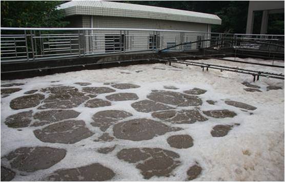 生物處理在廢水處理工程的應用