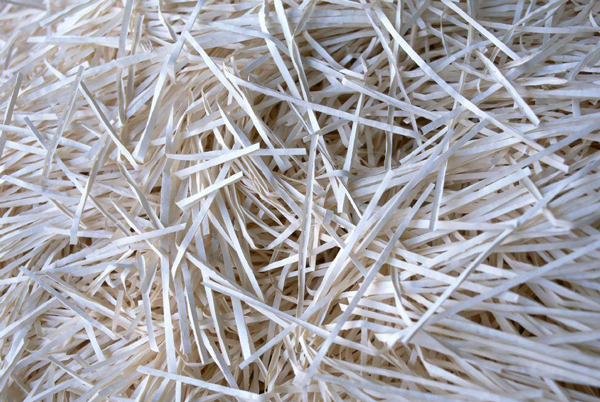 中國回收紙行業(yè)發(fā)布首個行業(yè)自律公約