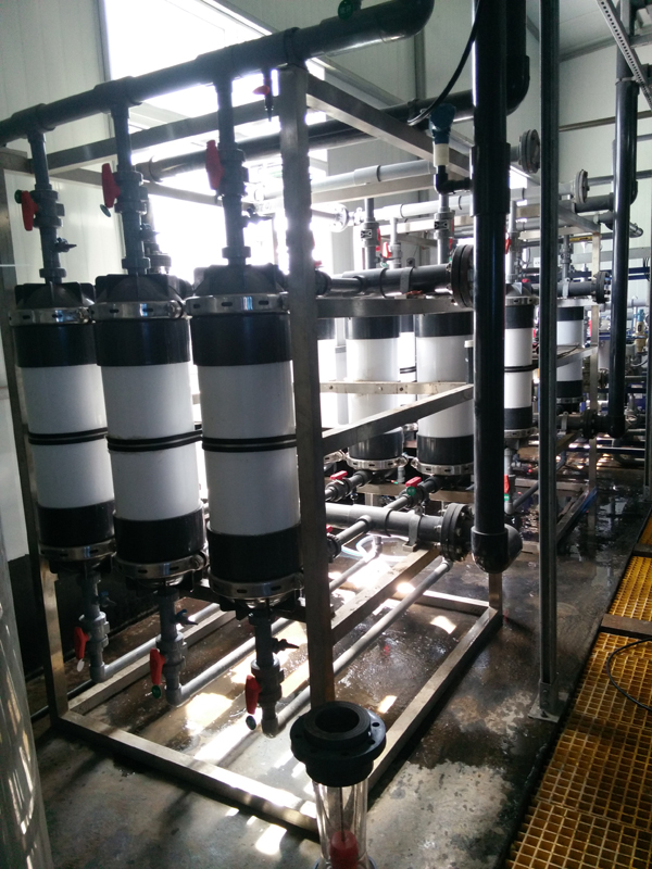 分子生物學技術在廢水反硝化聚磷菌菌種研究中的應用