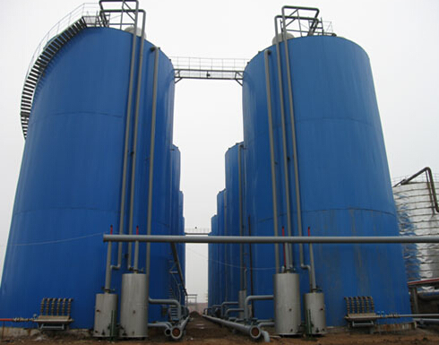 進(jìn)口與國(guó)產(chǎn)厭氧系統(tǒng)差異