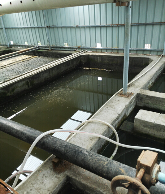 依斯倍環(huán)保走訪浙江某合成革有限公司廢水處理項目