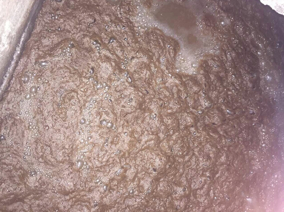 常熟金華廢水處理項(xiàng)目中SBR系統(tǒng)棕色泡沫成因分析處理