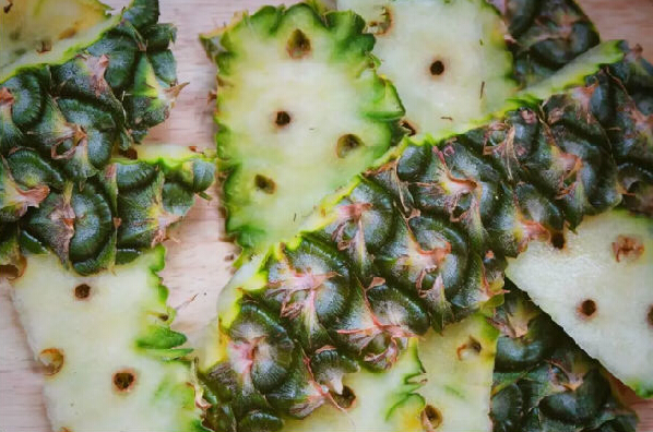 要時(shí)尚更要環(huán)保，拒絕使用動(dòng)物材料