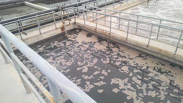 好氧池選用組合填料還是彈性填料好