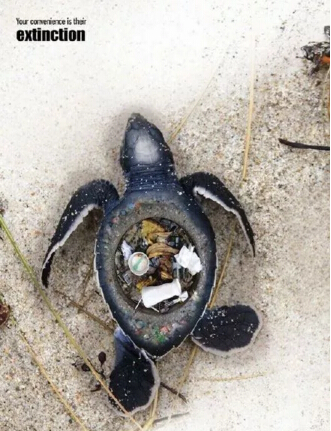 觸目驚心的環(huán)保海報設(shè)計，提醒你環(huán)保的重要性