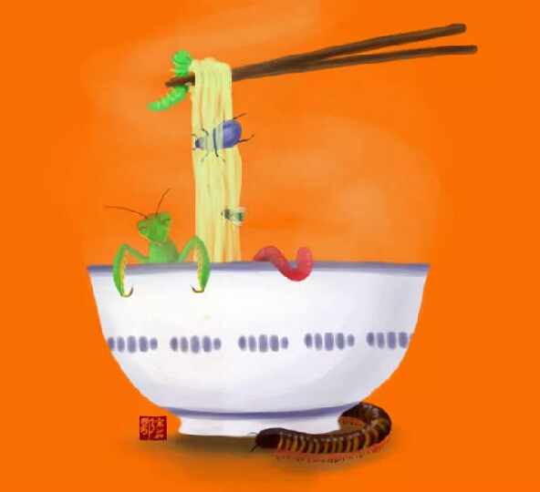 為了生態(tài)，荷蘭人很會有效利用昆蟲資源