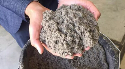 僅有1%的垃圾被填埋，荷蘭是如何實(shí)現(xiàn)垃圾的循環(huán)經(jīng)濟(jì)