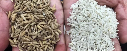 中央督察組隊第一批環(huán)保督查整改再次檢查，情況不容樂觀