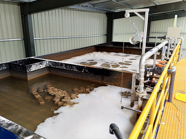 通過(guò)微生物狀態(tài)解析污水處理中的污泥現(xiàn)狀