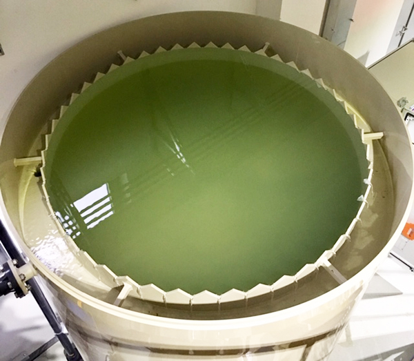 依斯倍環(huán)保水處理基本知識普及-納濾膜結(jié)構(gòu)及原理