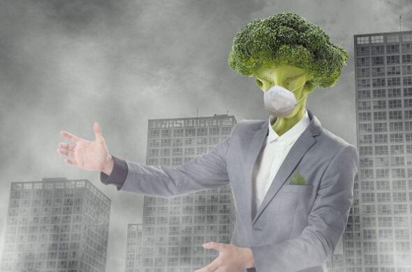 環(huán)保知識普及-大氣的污染