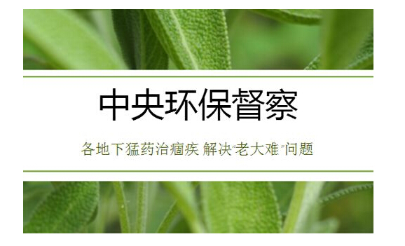 2019年，環(huán)保之路怎么走