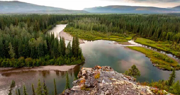 多用衛(wèi)生紙加劇全球變暖，哪國(guó)人最費(fèi)紙