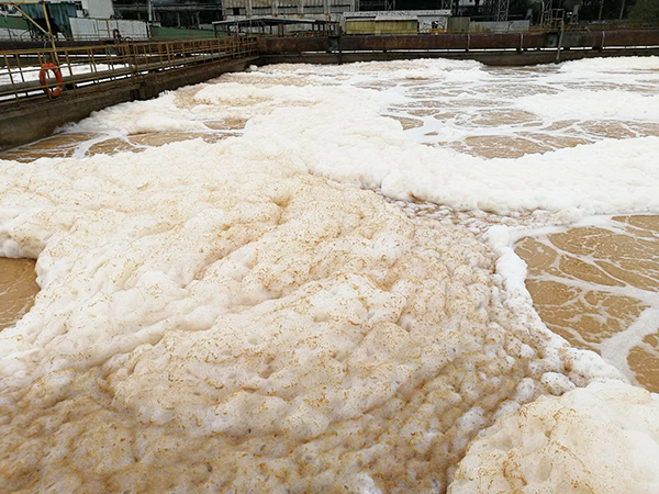 江蘇某紙業(yè)公司造紙廢水處理工程項(xiàng)目走訪