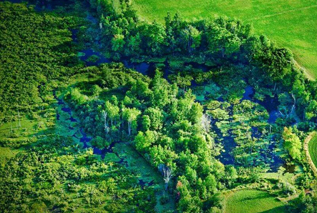 珍惜資源保護環(huán)境是一件刻不容緩的事情