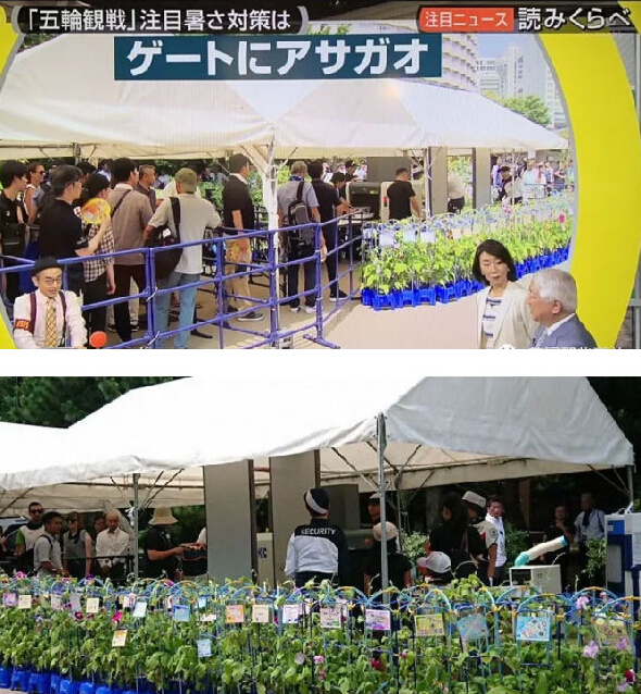 為了環(huán)保，東京奧運會要讓運動員睡硬紙板糊的床