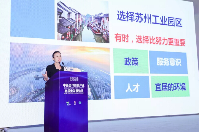 回首2019，致在環(huán)保路上奮斗的我們