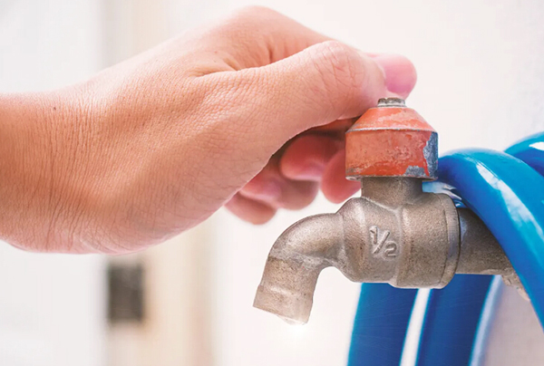 植樹節(jié)植下一抹綠意，收獲一片春光