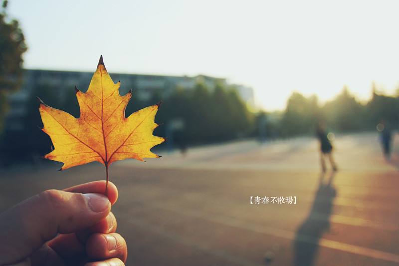 致敬青春！新入職小伙伴他們有話說