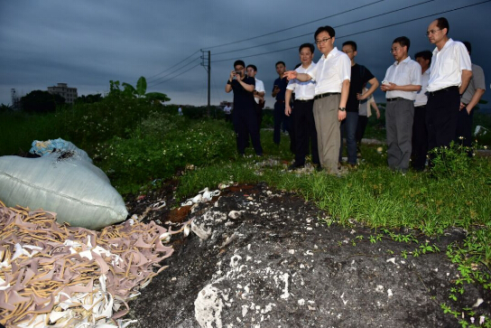 2020年關(guān)于環(huán)保督查