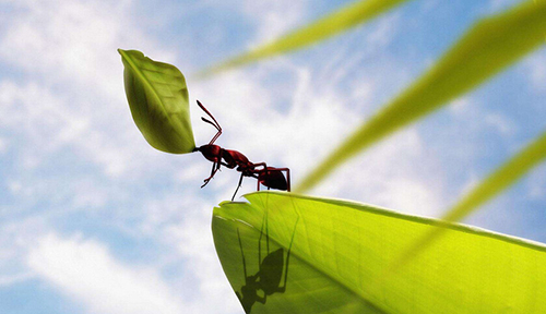 畢業(yè)三個月的環(huán)保公司銷售是如何拿下工業(yè)廢水處理百萬訂單