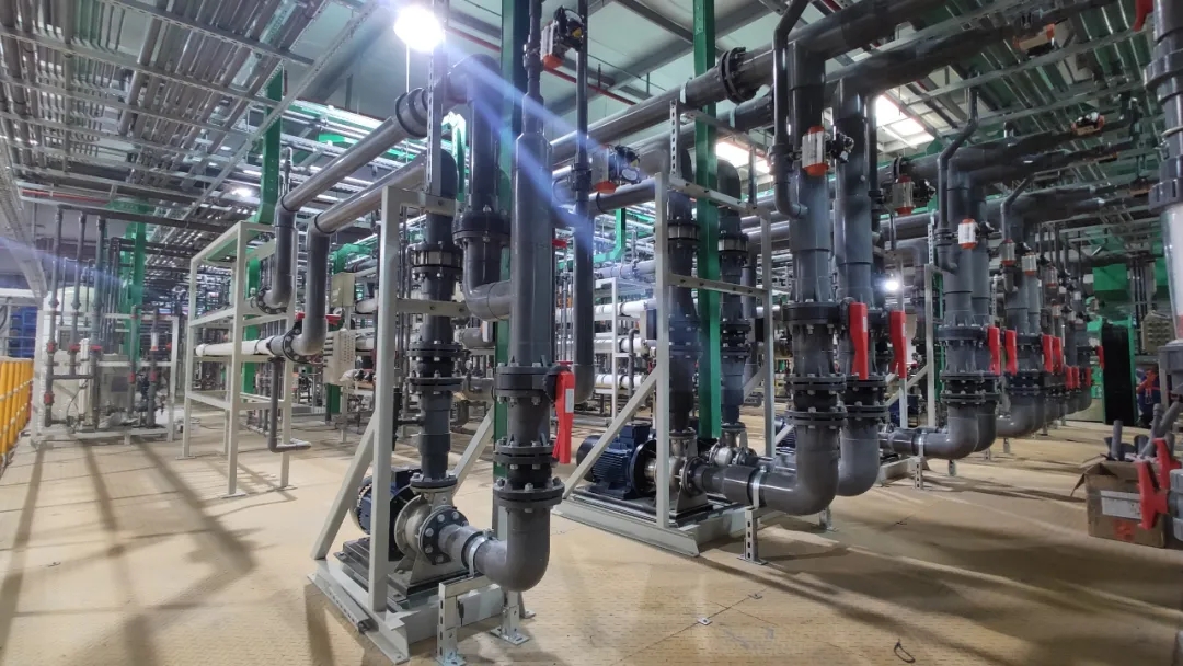 奔向零碳：加快形成綠色發(fā)展，建設(shè)生態(tài)美麗地球