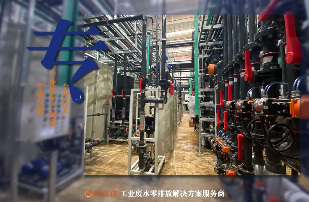 校企合作·攜手共贏 | 重慶依斯倍與西南大學就業(yè)見習基地簽約儀式圓滿成功